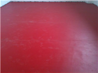 即墨圣罗尼克运动馆