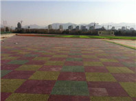 惜福镇中心小学