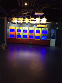 青岛极地海洋世界